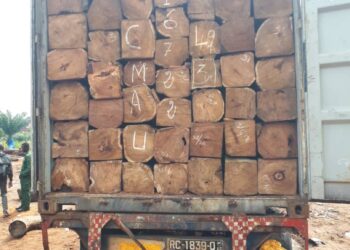 Urgent : témoignage accablant contre les cadres du Ministère de l’Environnement dans l’Affaire des 415 conteneurs de bois guinéens saisis en Chine