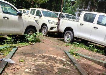 Ministère de l’Environnement : Soupçon sur Plusieurs Pick-up, sorties d’usine, stationnés devant la Direction Nationale de la Faune et Flore