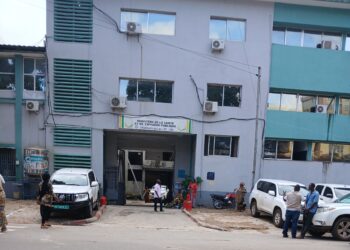 L’état de la malnutrition en Guinée : les statistiques sont précaires