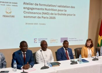 Guinée : Atelier national de validation des engagements  qui seront présentés au sommet de la Nutrition de paris 2025