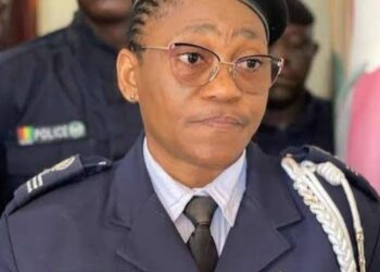 Commissaire Marie Gomez, Respectable DG de l’OPROGEM, espionnée par son chauffeur : le délinquant est trimbalé devant le tribunal